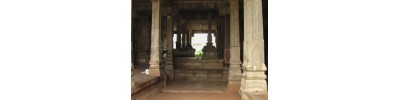 தென்குடி திட்டை